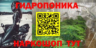 spice Тулун